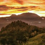 Untitled-1